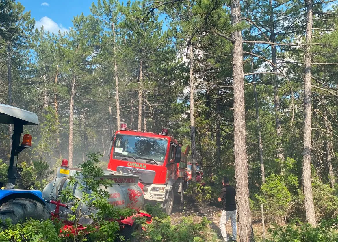 Kütahya’da ormana yıldırım düştü