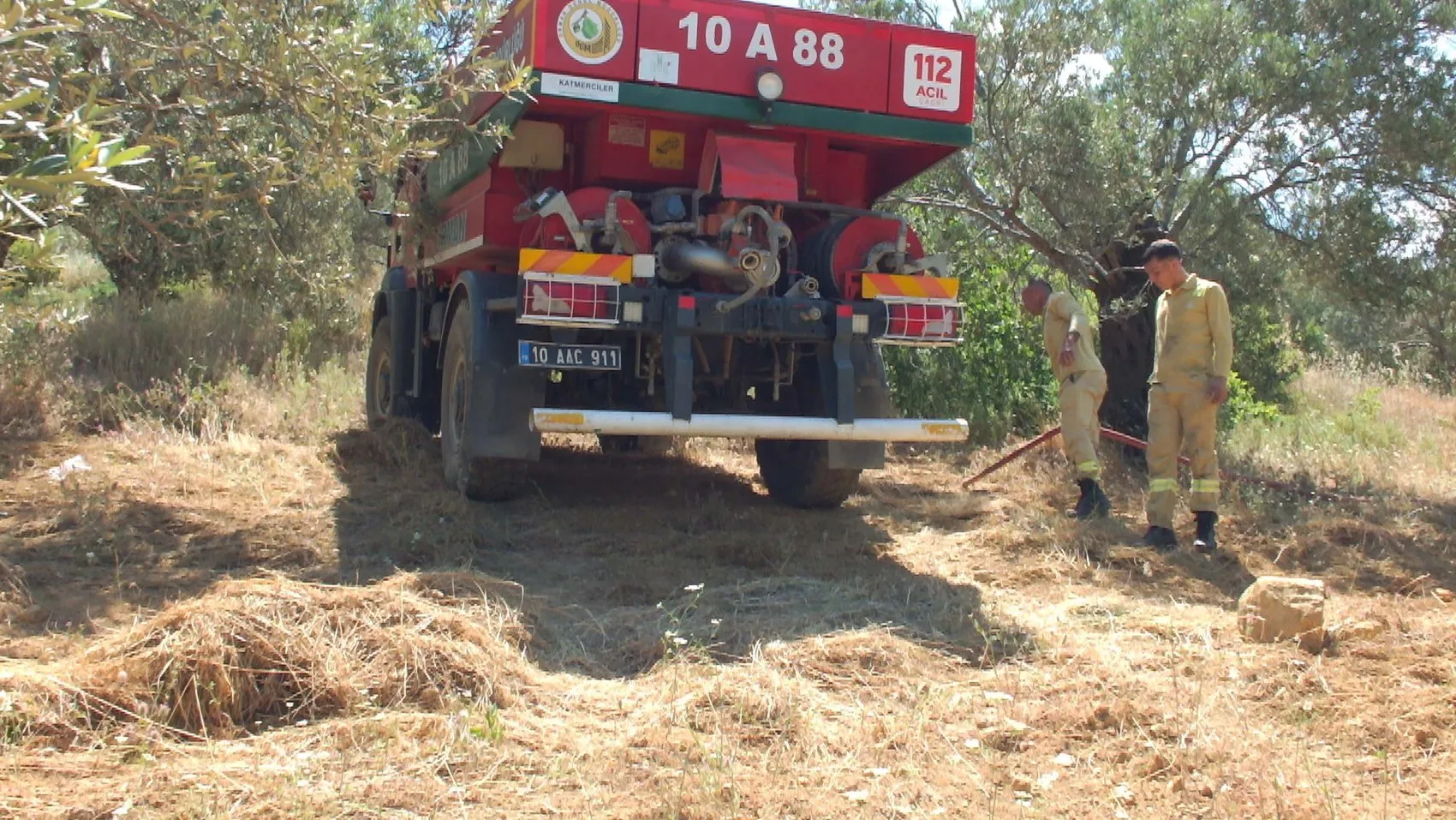 Burhaniye'de yanan otomobil zeytinliği küle çevirdi