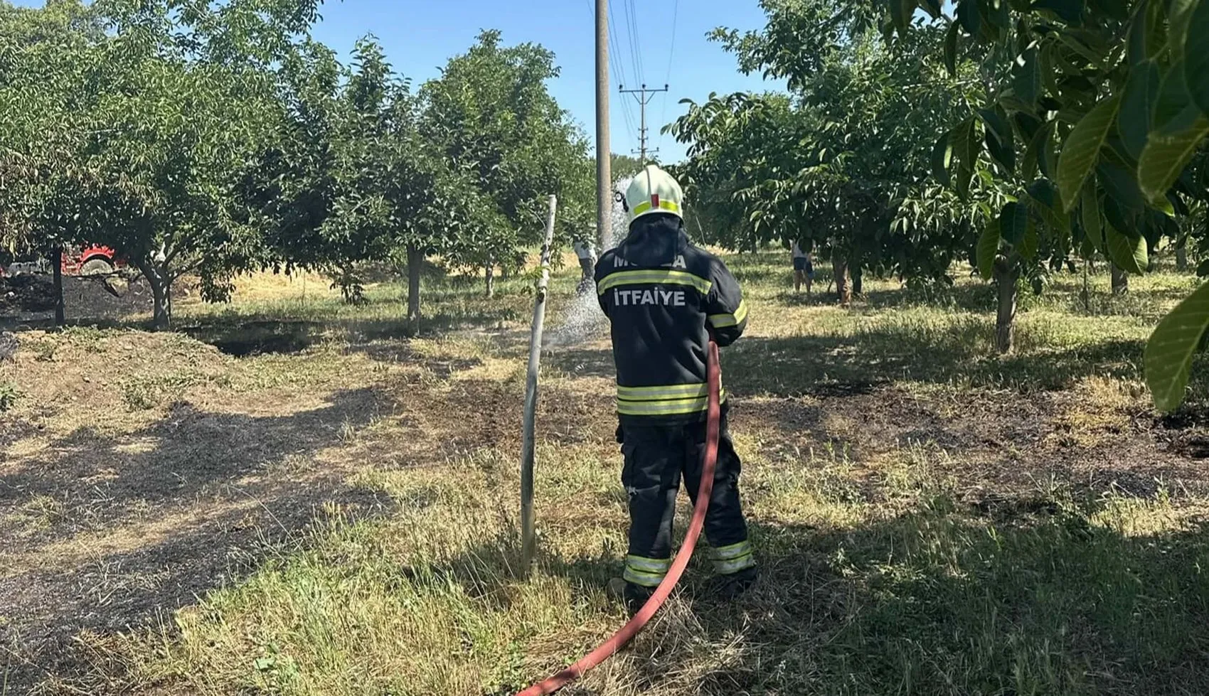 Kuşun elektrik akımına kapılması Muğla’da yangın çıkardı