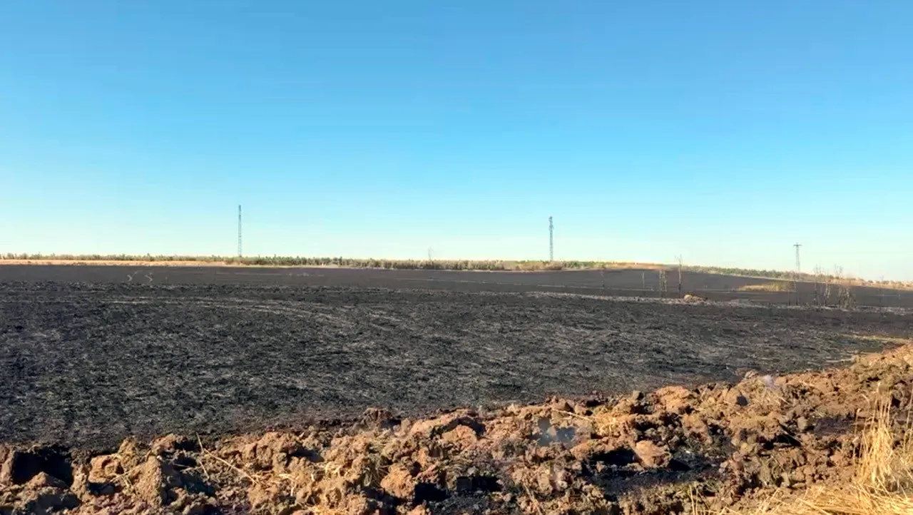 Tekirdağ'da buğday tarlaları alevlere teslim oldu