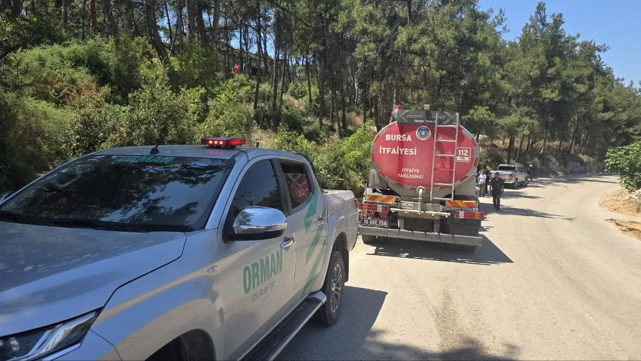 Mudanya'da bahçede yakılan çöpler 4 dönüm alanı küle çevirdi