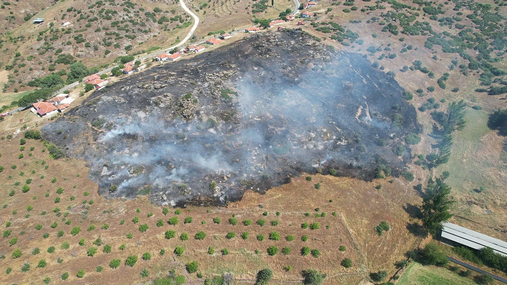 Manisa Kula'da makilik alanda yangın paniği