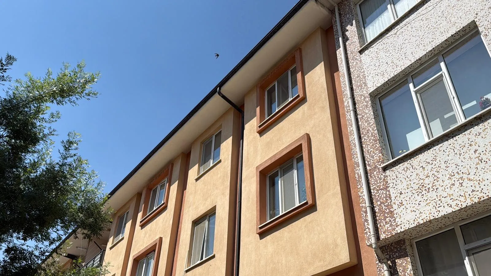 Eskişehir'de evde şüpheli ölüm