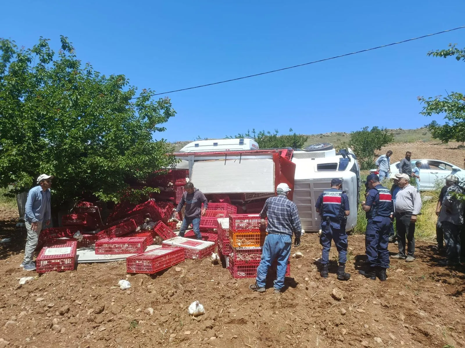 Malatya'da tavuk kamyonu şarampole uçtu