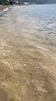 Marmara denizindeki renk değişimi müsilaj tehlikesini yeniden hatırlattı