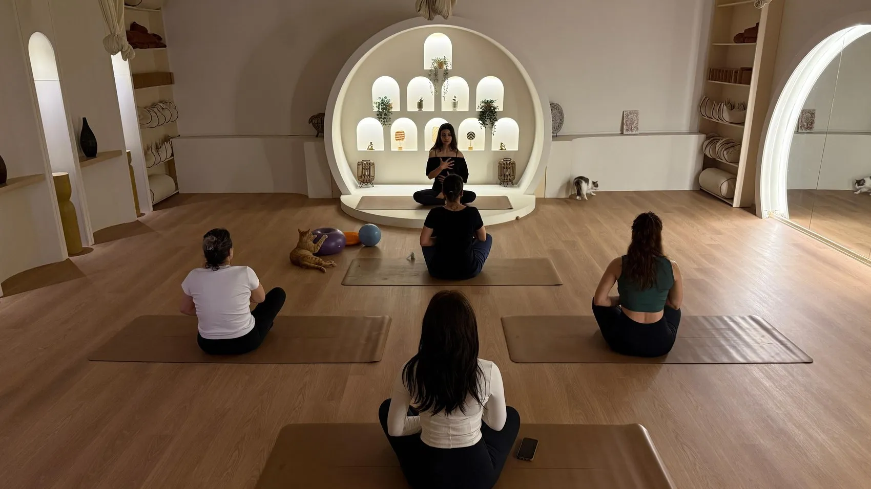 Ankaralı kadınlar stres atmak için kedilerle yoga matına çıktı