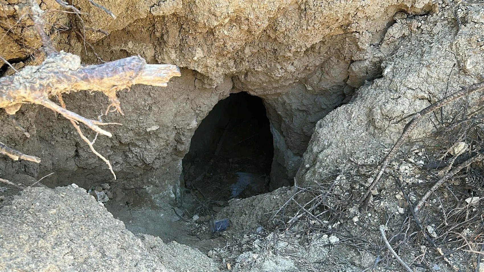 Çanakkale’deki yangın tarihi bir mezarı gün yüzüne çıkardı