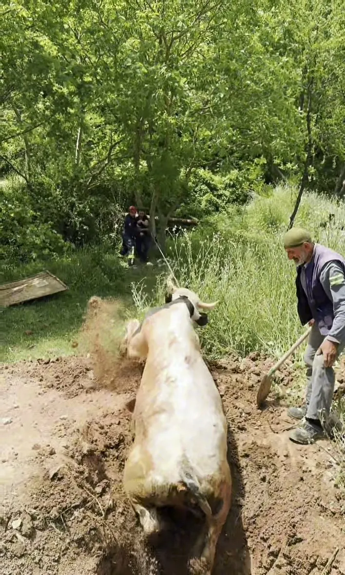 İzmit'te kuyuda mahsur kalan boğayı itfaiye ekipleri kurtardı