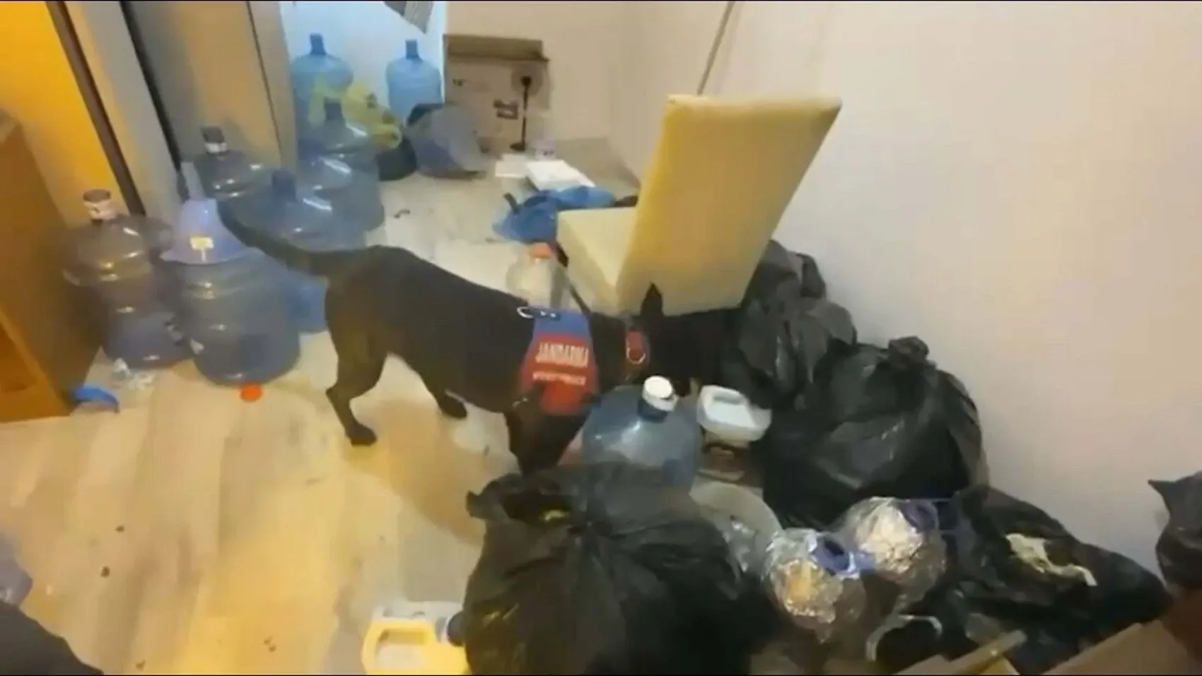 Aydın merkezli beş ilçede uyuşturucu operasyonu