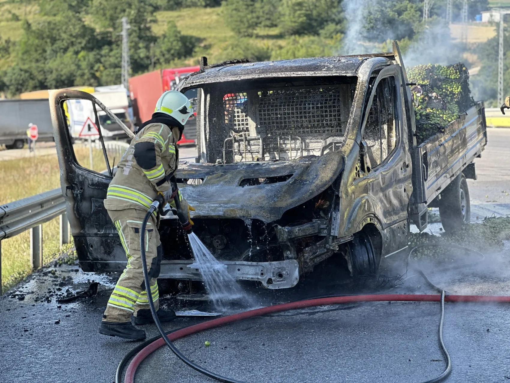 İznik yolunda erik yüklü kamyonet küle döndü