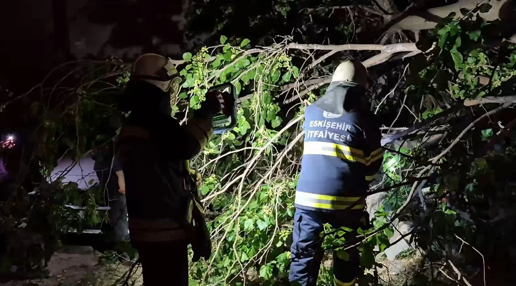 Eskişehir’de devrilen dut ağacı iki aracı hurdaya çevirdi