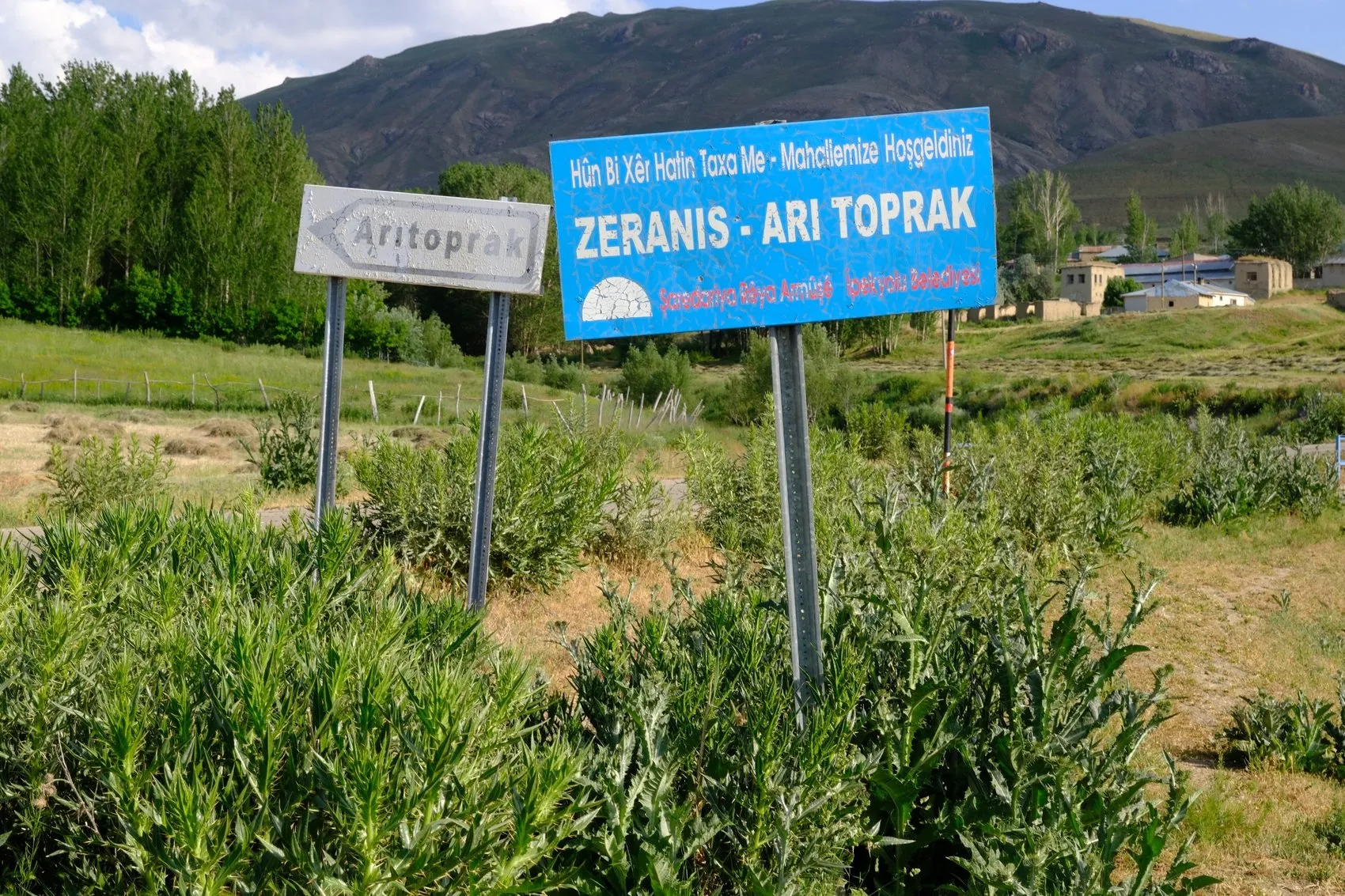 Van'da bir mahalle kuduz riski nedeniyle karantinaya alındı