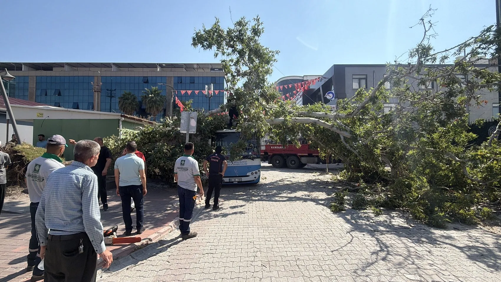 Osmaniye'de durakta bekleyen otobüsün üzerine ağaç devrildi
