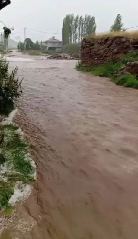 Sivas'ın Ulaş ilçesinde dolu yağışı tarım arazilerini vurdu