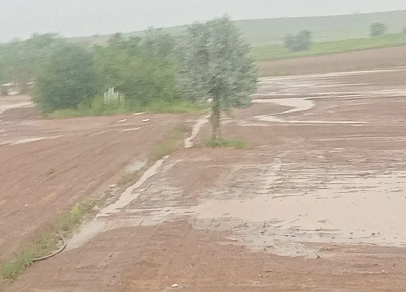 Kayseri'de dolu felaketi Binlerce dönüm tarım arazisi küle döndü