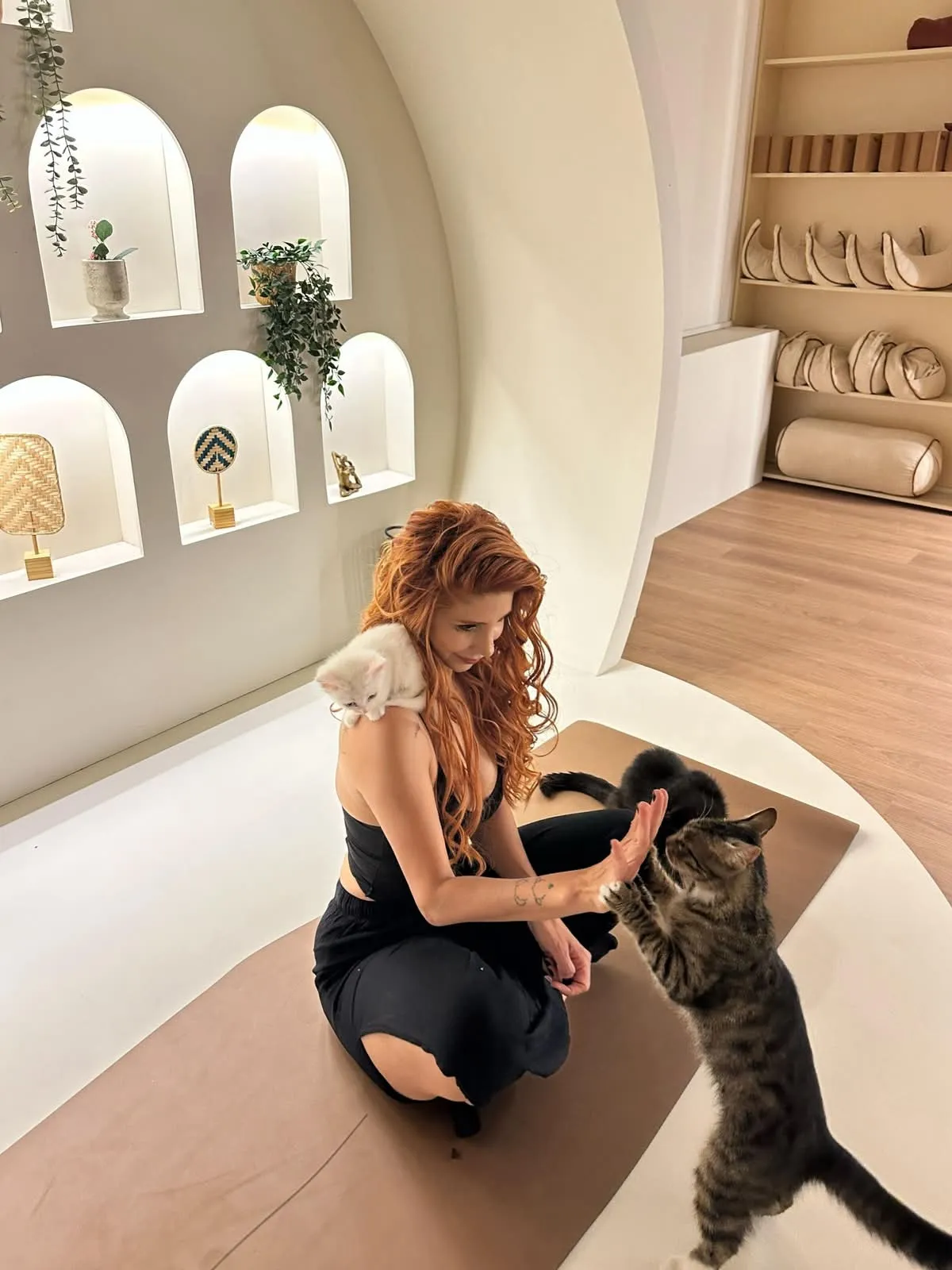 Ankaralı kadınlar stres atmak için kedilerle yoga matına çıktı