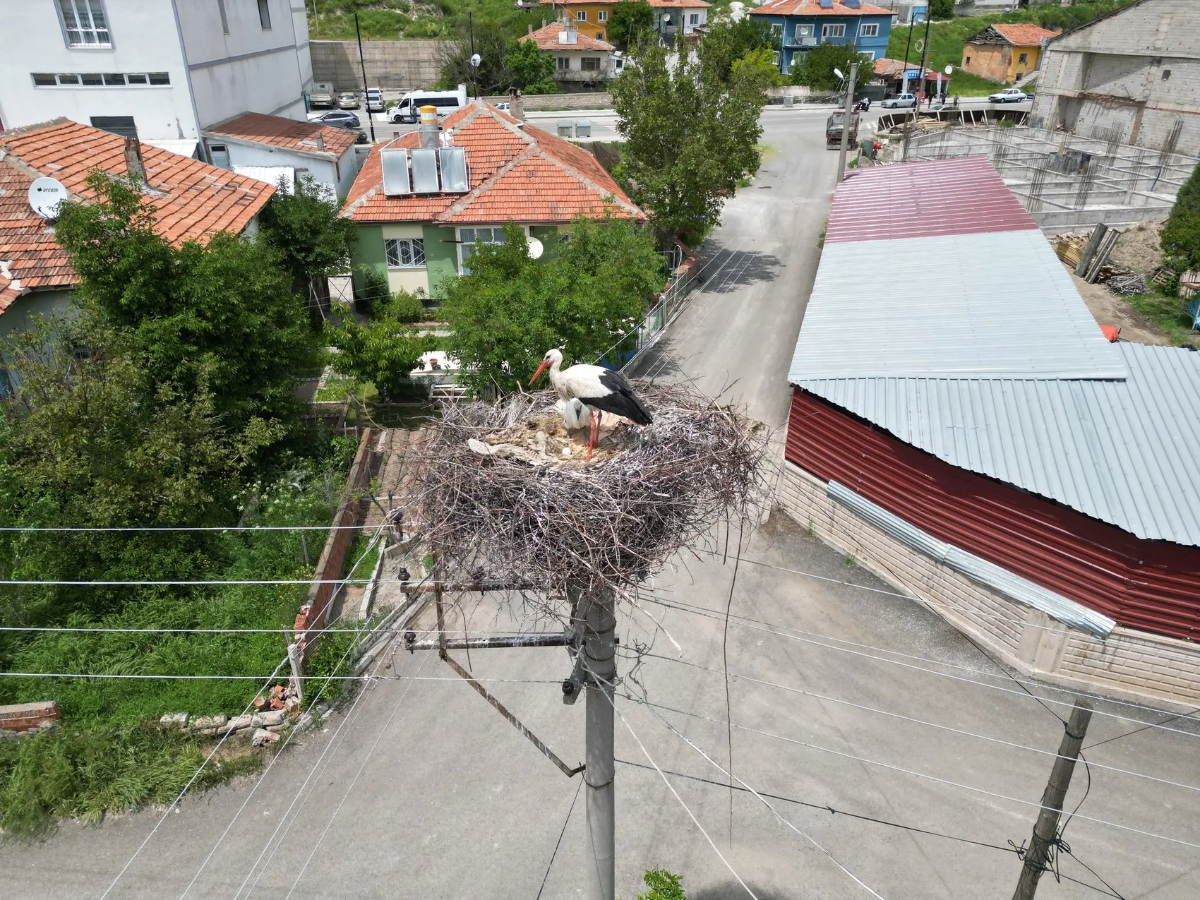 Sivaslılar elektrik direklerini leylekler için korumaya aldı