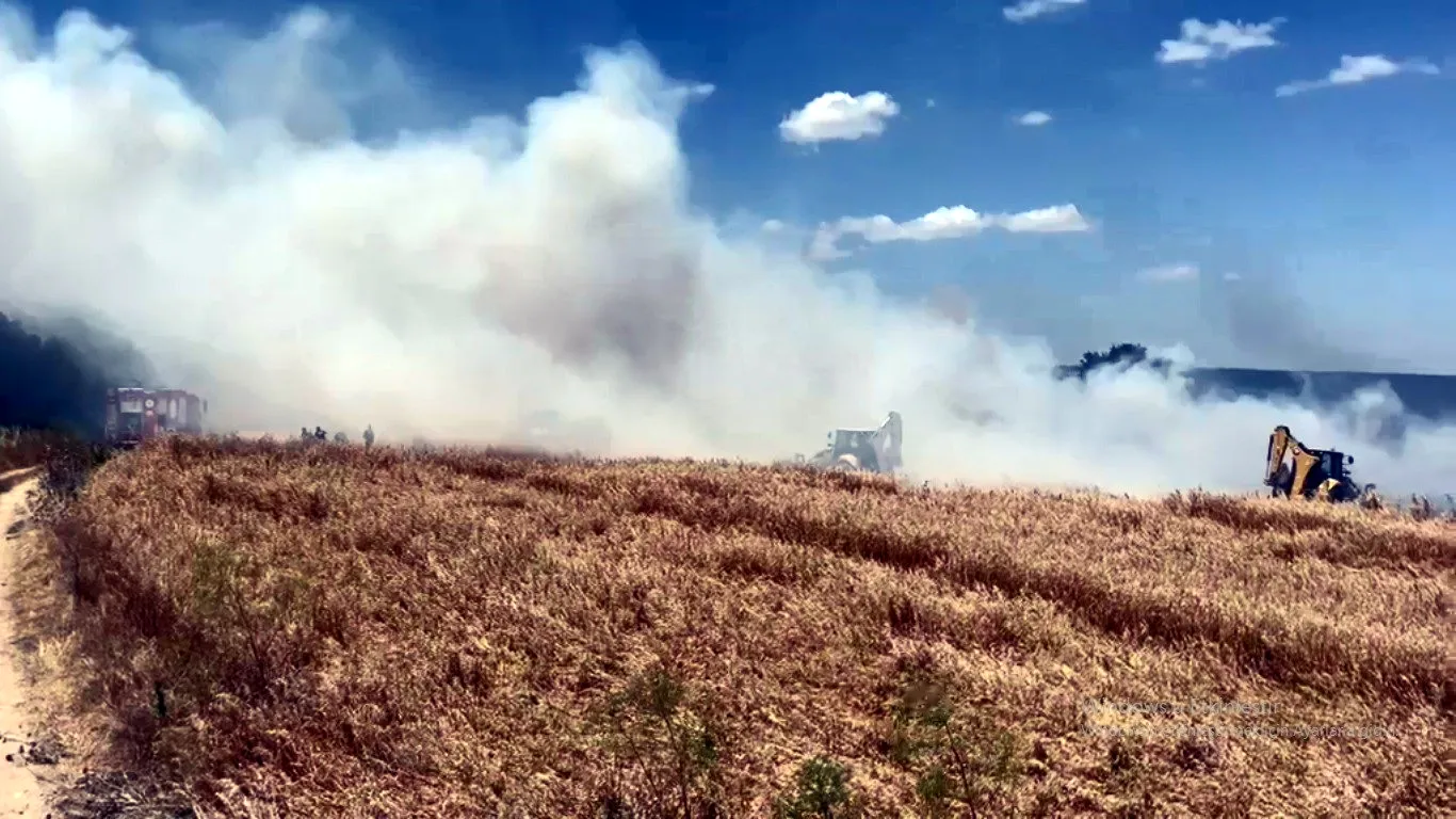 Tekirdağ'da buğday tarlaları kül oldu