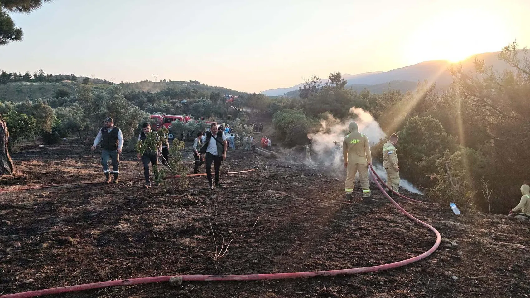 Bilecik'te tarım arazisinde başlayan yangın ormana sıçradı