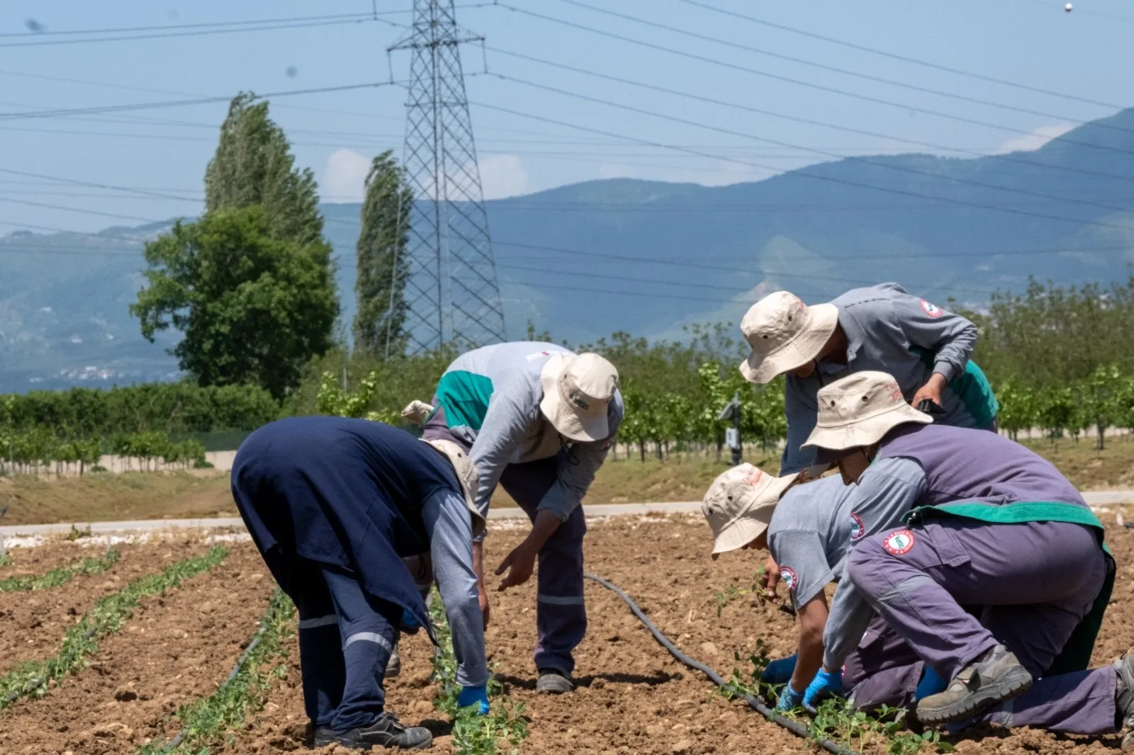 Tarımda rotayı Orta Asya ve Afrika’ya çeviren devden 2026 hedefi