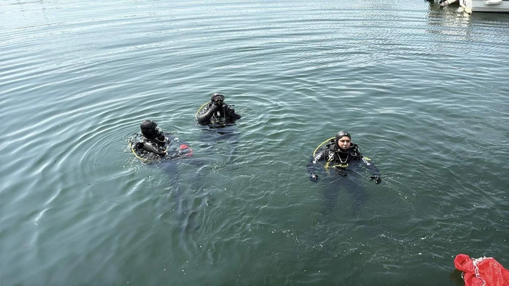 Tekirdağ'da deniz dibinden çıkanlar şaşkına çevirdi