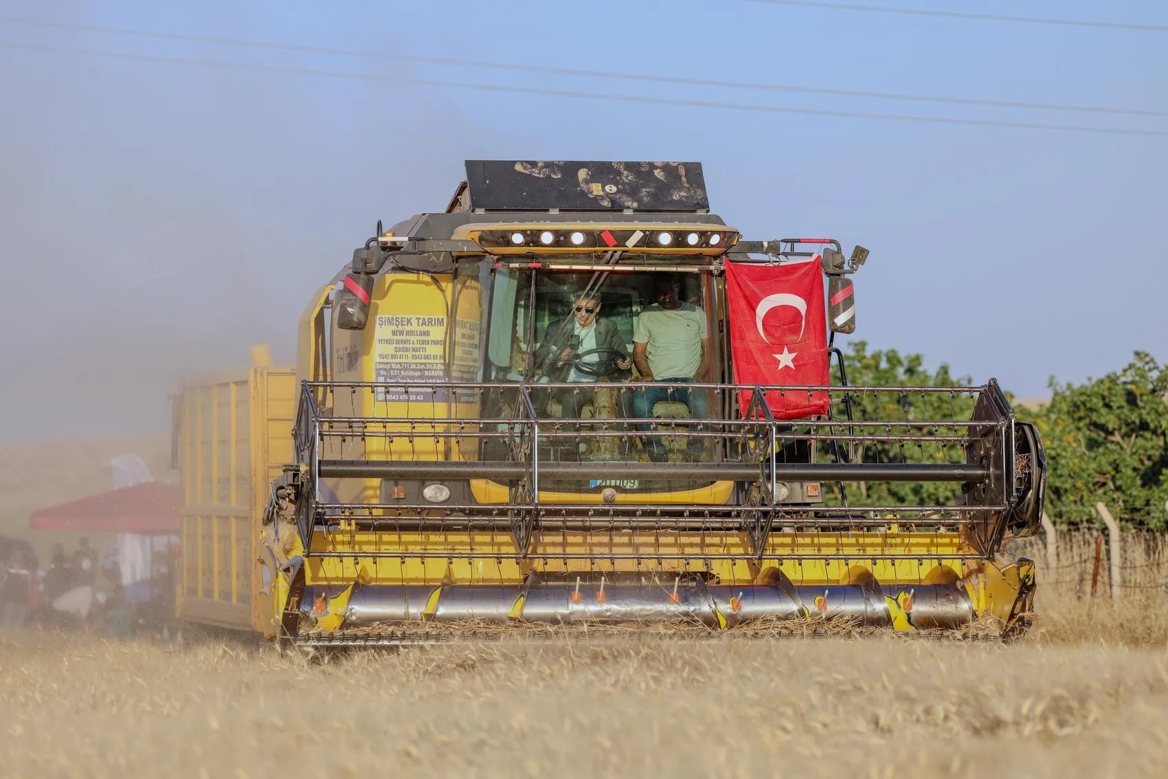 Mardin Ovası’nda buğday zamanı Çiftçinin yüzü gülüyor