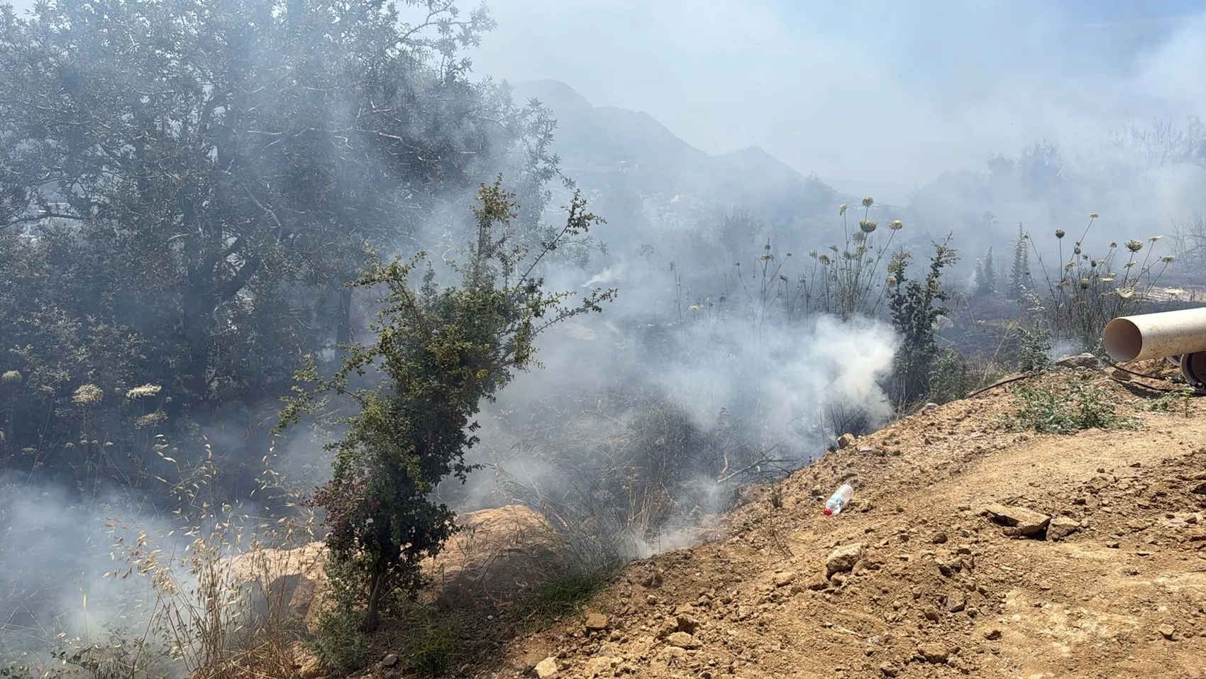 Bodrum Turgutreis’te elektrik telleri makilik alanı tutuşturdu