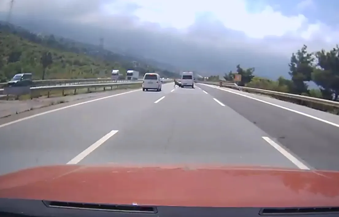 İskenderun otoyolunda angus paniği