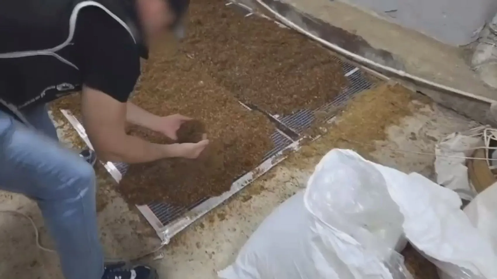 İstanbul merkezli dev kaçak tütün operasyonu