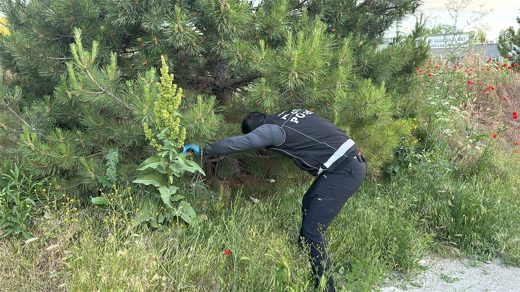 Kütahya yolunda yakalanan şüphelilerin uyuşturucu kaçırma planı suya düştü