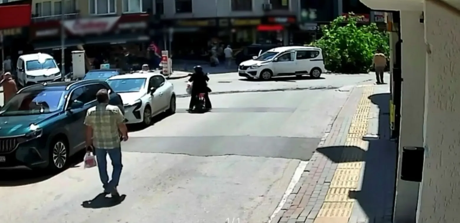 Orhangazi’de 150 yıllık çınar devrildi