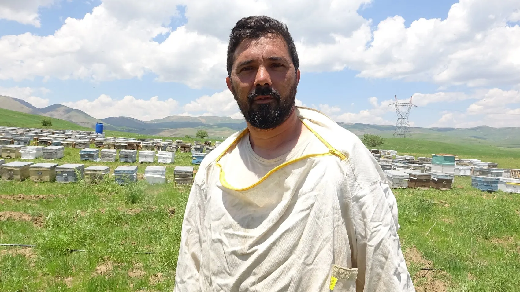 Bodrumdan Hakkari yaylalarına uzanan bal hasadı