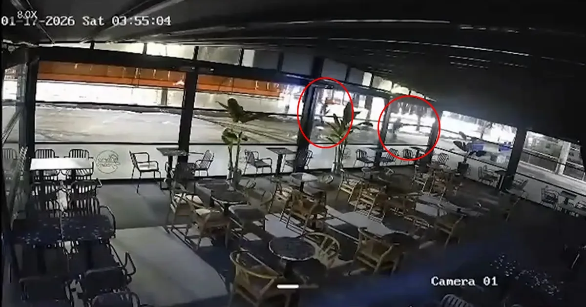 Elazığ merkezli operasyonda 29 şüpheli yakalandı