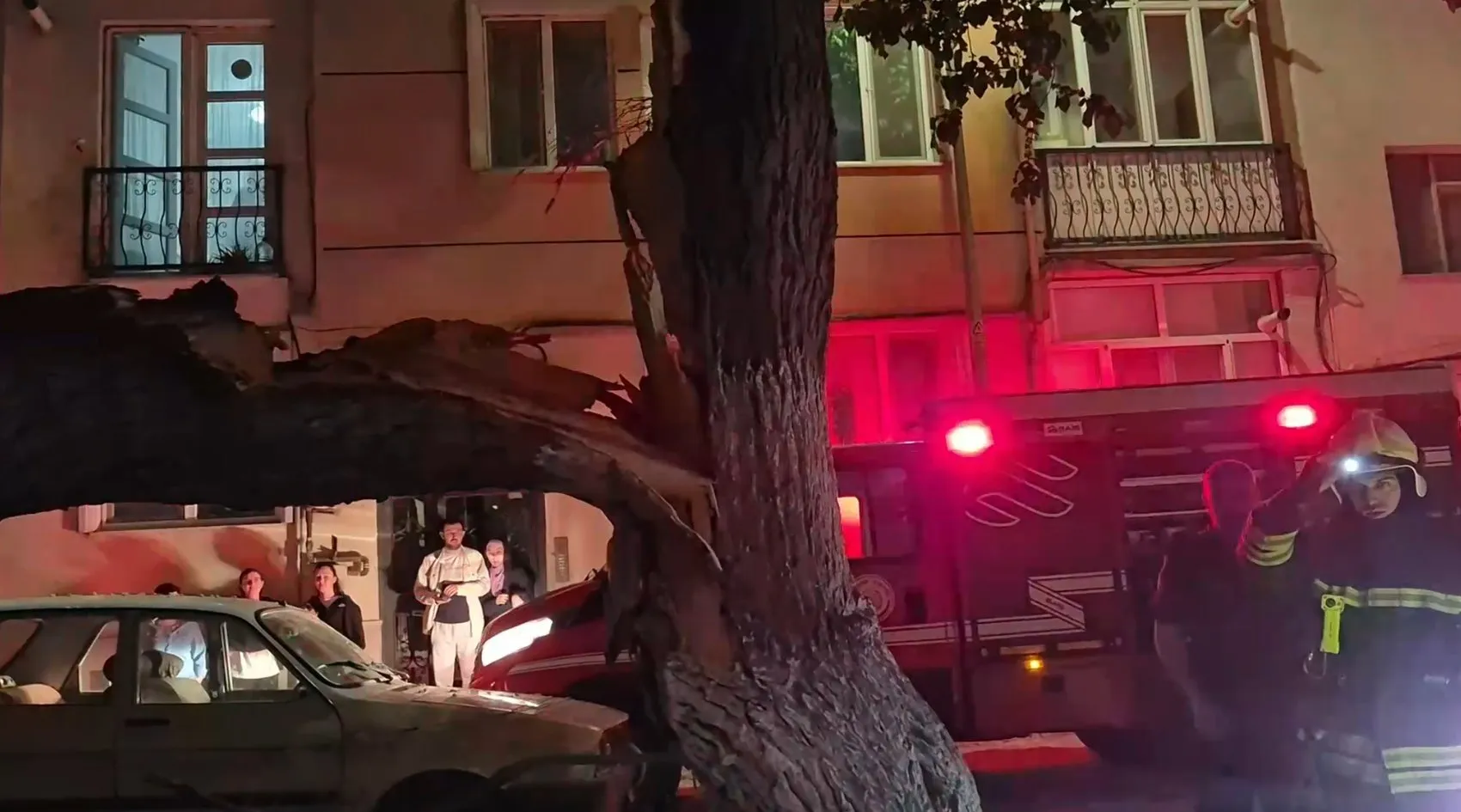 Eskişehir’de devrilen dut ağacı iki aracı hurdaya çevirdi
