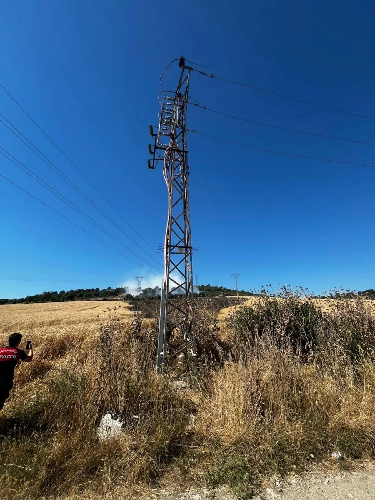 Çanakkale’de buğday tarlasını kuşlar yaktı