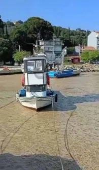 Marmara denizindeki renk değişimi müsilaj tehlikesini yeniden hatırlattı