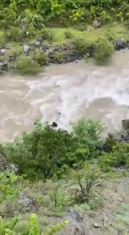 Artvin’de Çoruh Nehri’ne uçan otomobilden acı haber