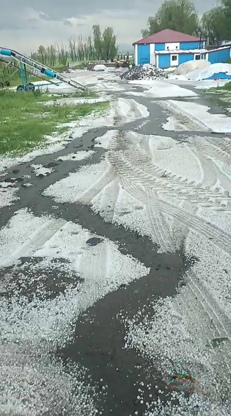 Kars Arpaçay'da dolu ve sel tarım arazilerini vurdu