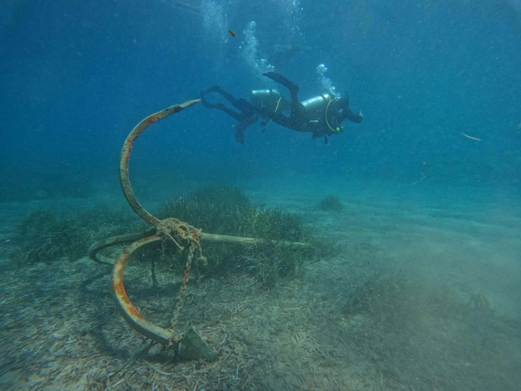 Bodrum denizlerinde devasa karbon deposu keşfedildi