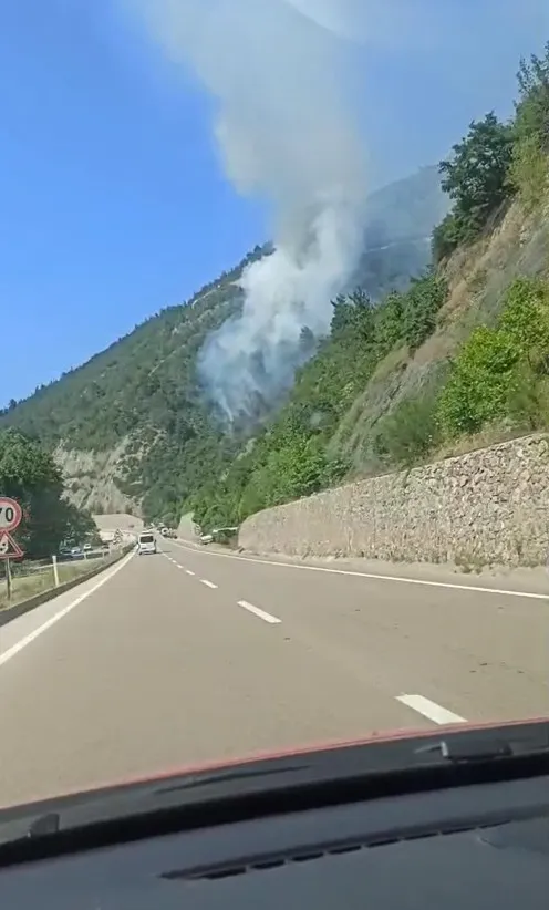 Bursa Osmangazi orman yangınıyla mücadele ediyor