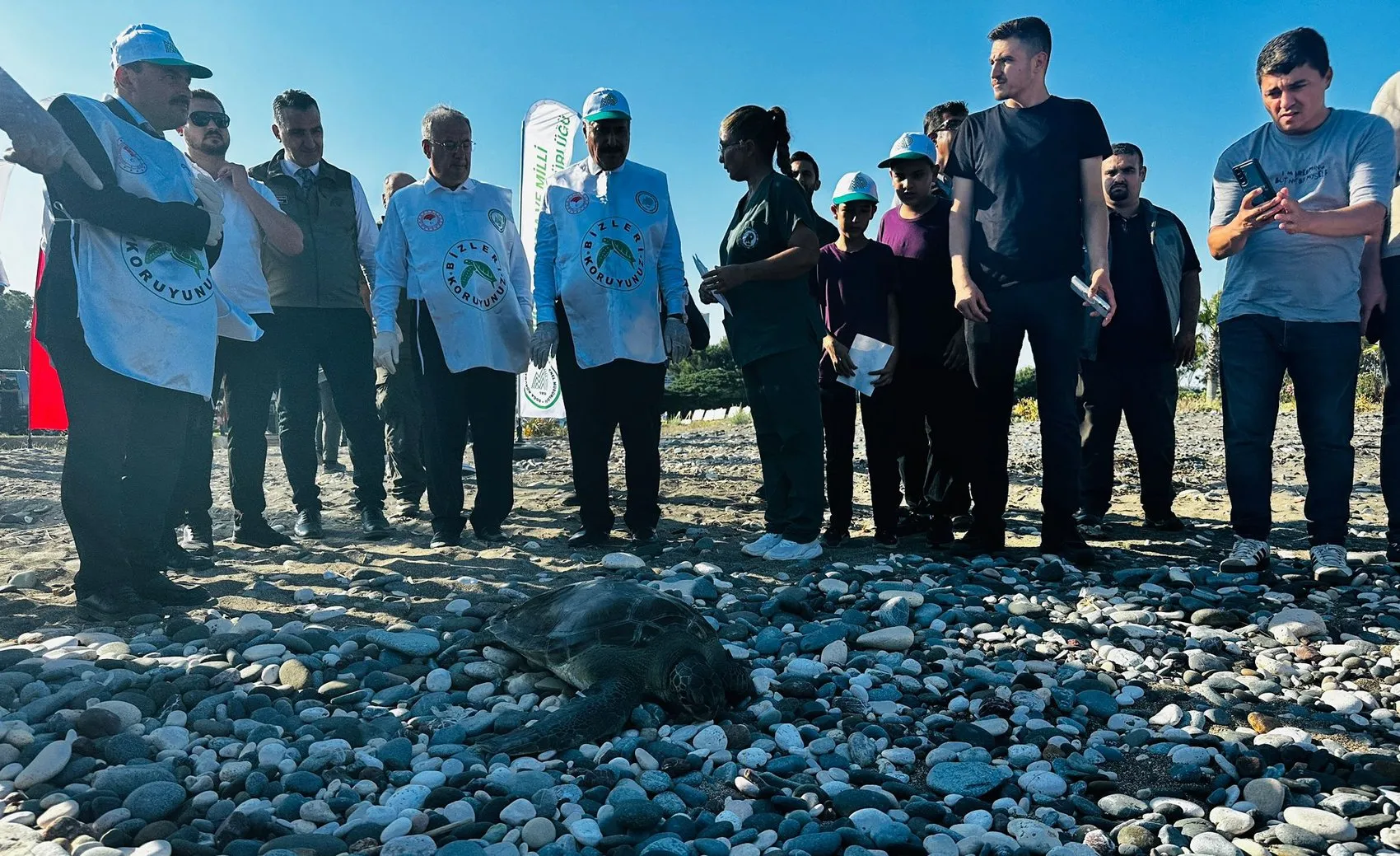 Mersin'de üç deniz kaplumbağası bir yıllık tedavinin ardından özgürlüğüne kavuştu