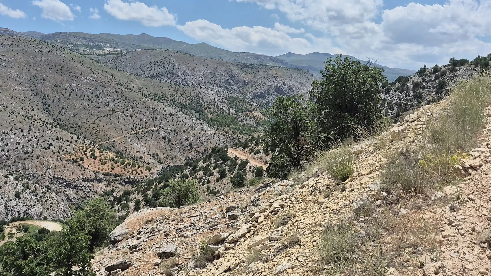 Malatya’da üç aydır kayıp olan Aysel Yıldırım cinayeti aydınlatıldı