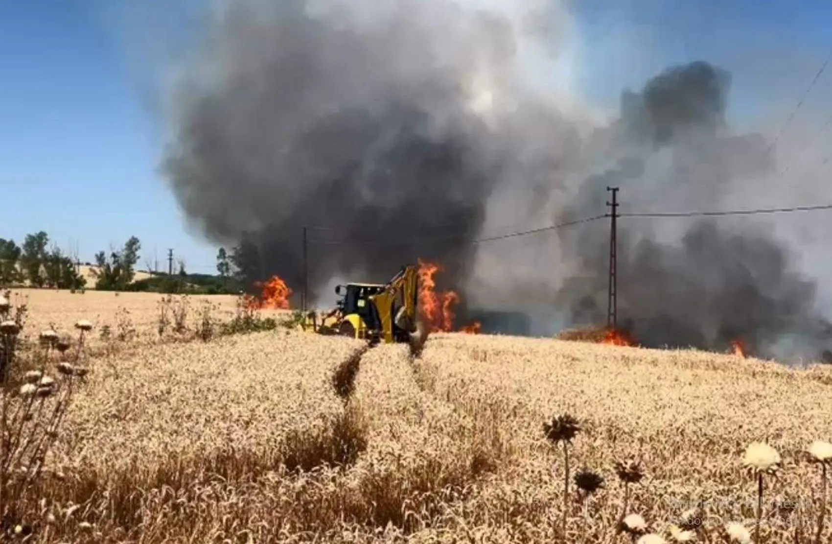 Malkara’da buğday tarlası alevlere teslim oldu