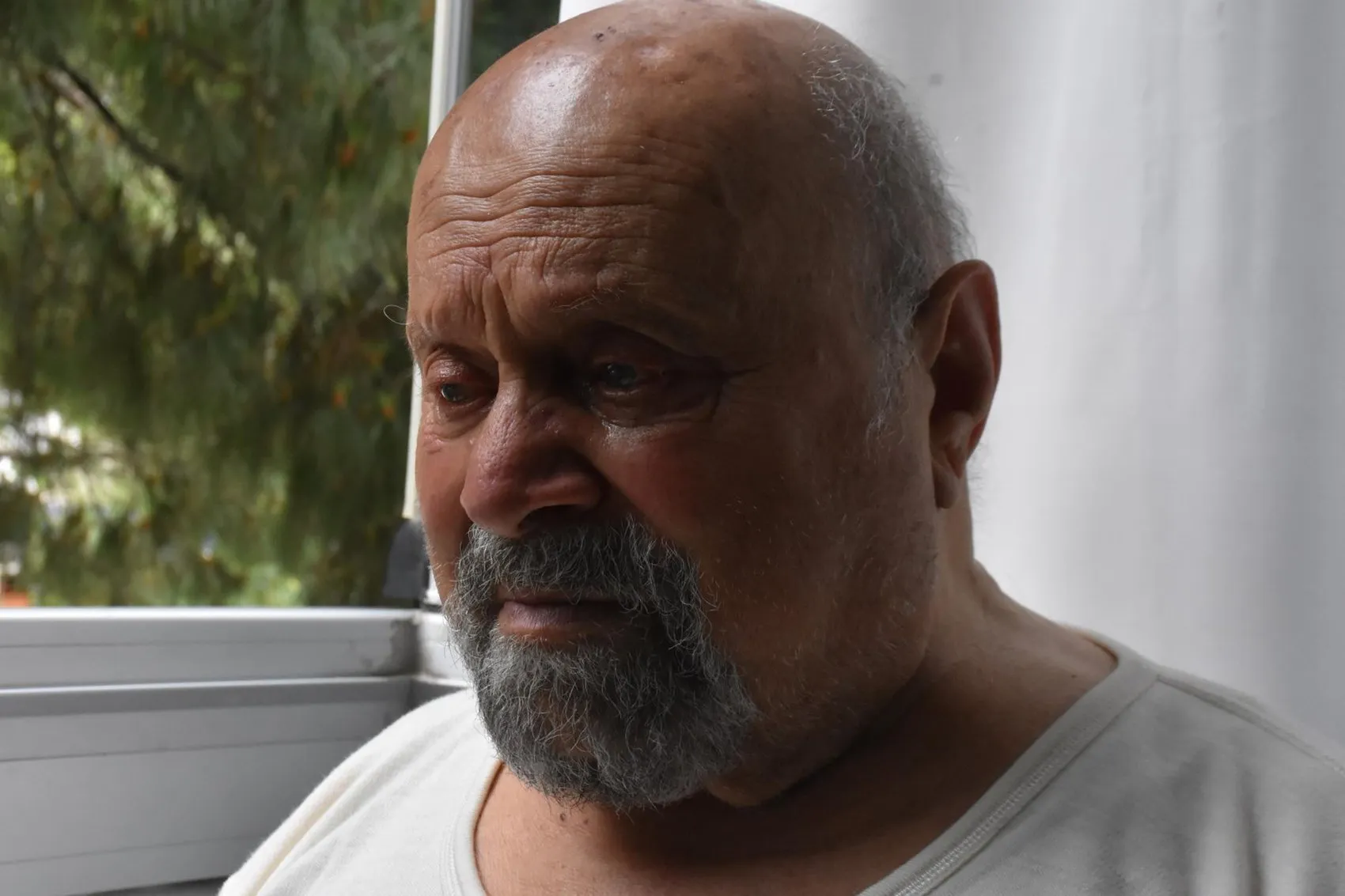 İzmirli Kemal Amca bir güvercin için evinden ayrılmıyor
