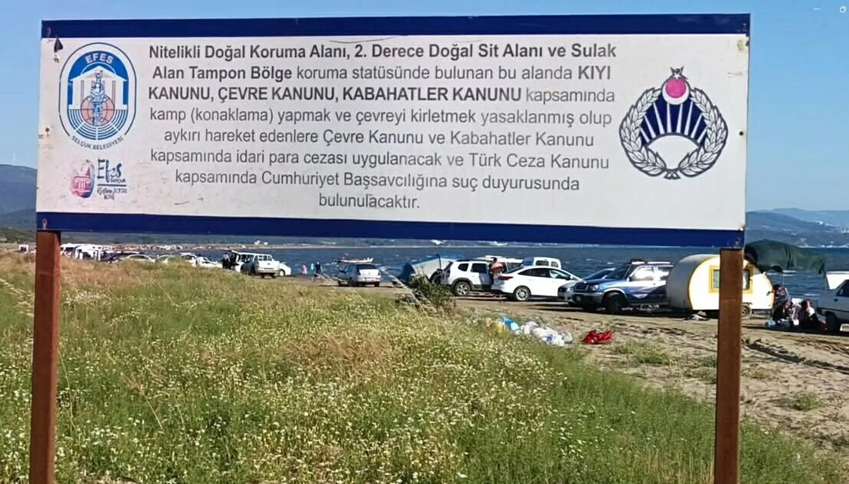 Pamucak sahilinde caretta caretta yuvaları araç baskısı altında