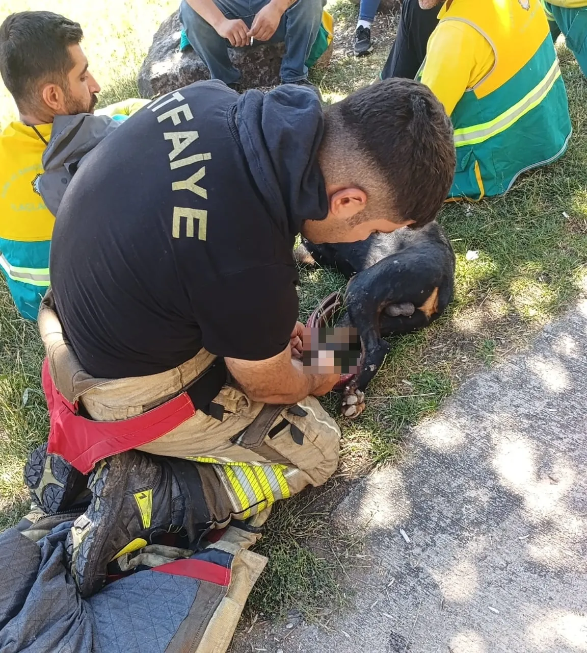 Diyarbakırda köpeğe işkence iddiası