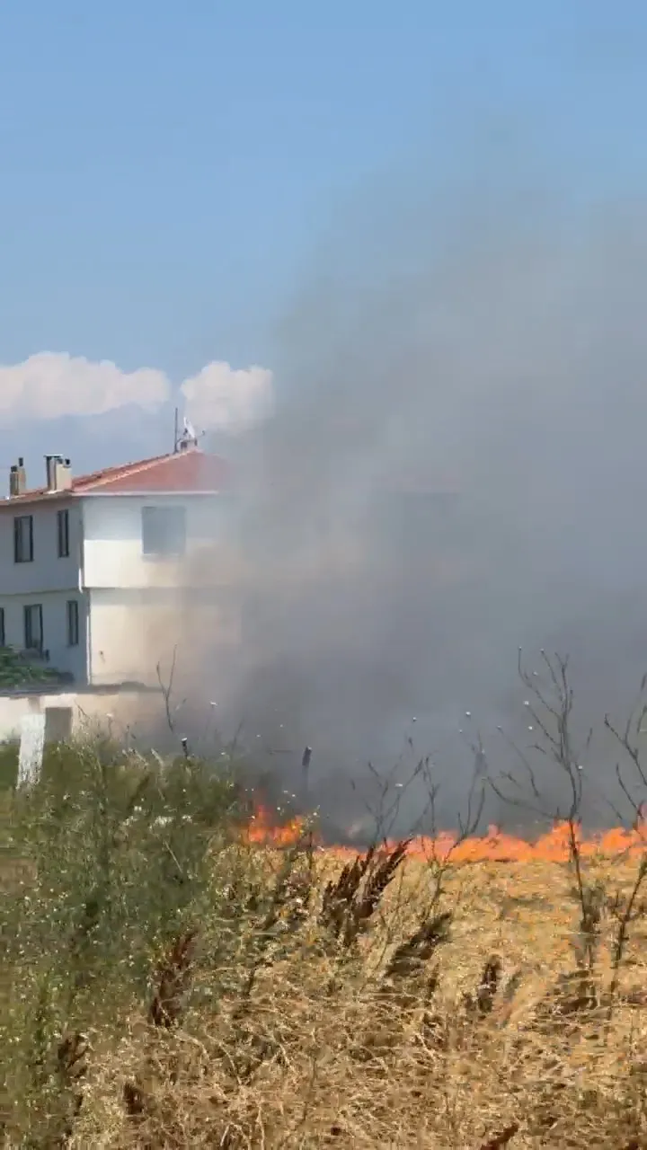 Bursa'da buğday tarlasında korkutan yangın