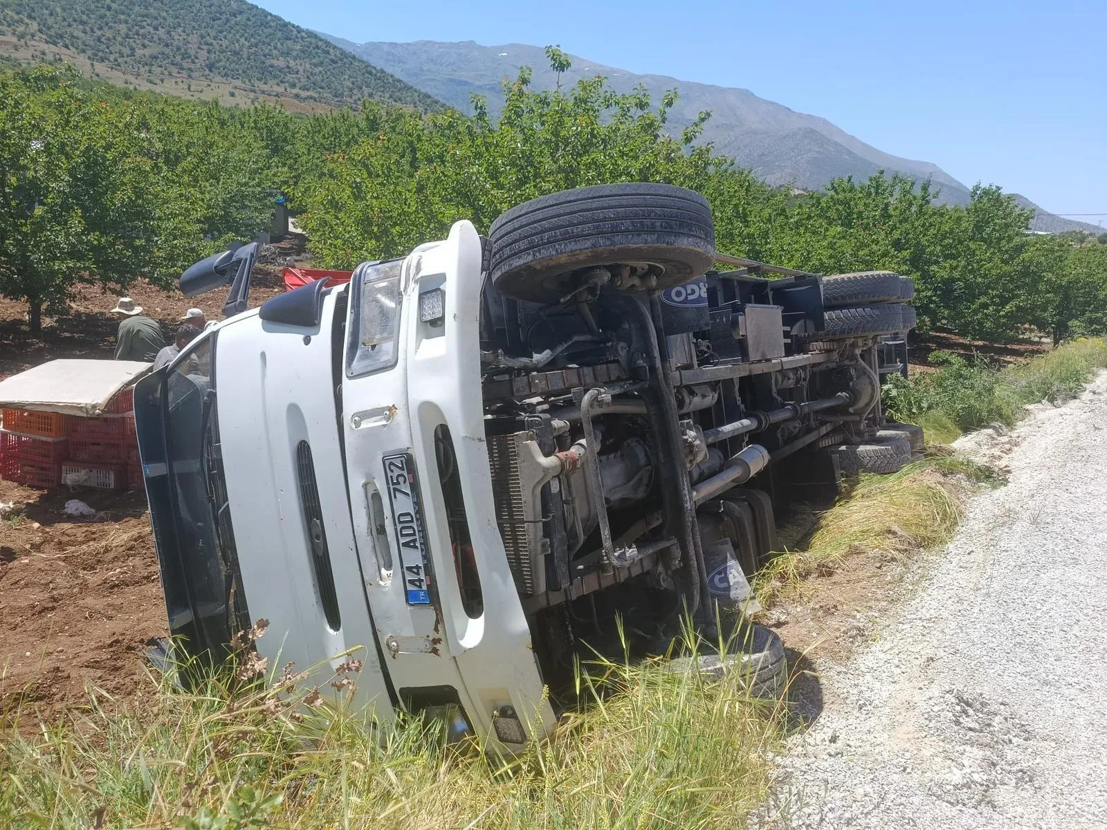 Malatya'da tavuk kamyonu şarampole uçtu