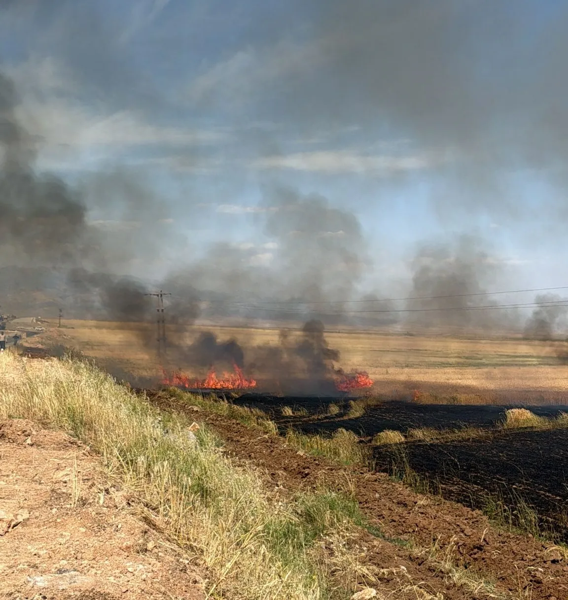 Cizre'de çiftçinin emeği alevlere teslim oldu