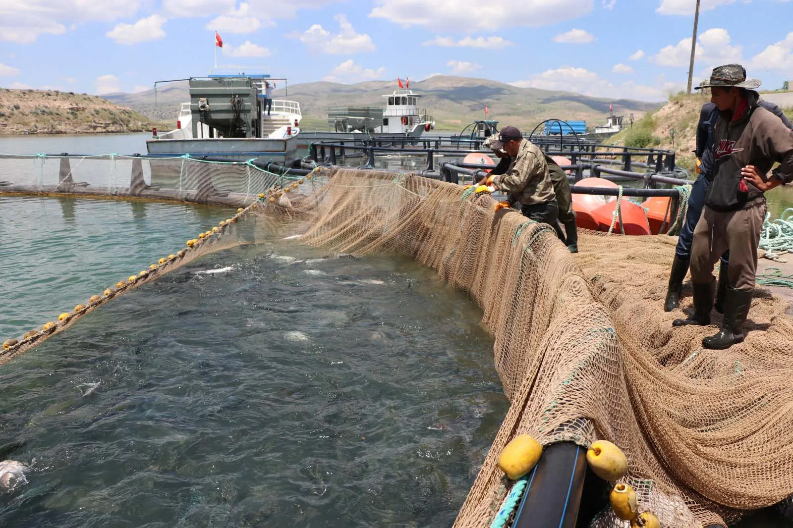 İç Anadolu'dan dünyaya somon ihracatı